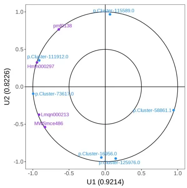 figure 6. CCA Analysis Results Graph